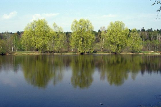 В Чебоксарском округе продолжает проходить Всероссийская акция 