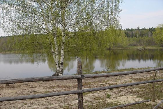 9 мая нашу Республику в соревнованиях по футболу в городе Йошкар-Ола представляла команда ФК Абашево ( Геона) 